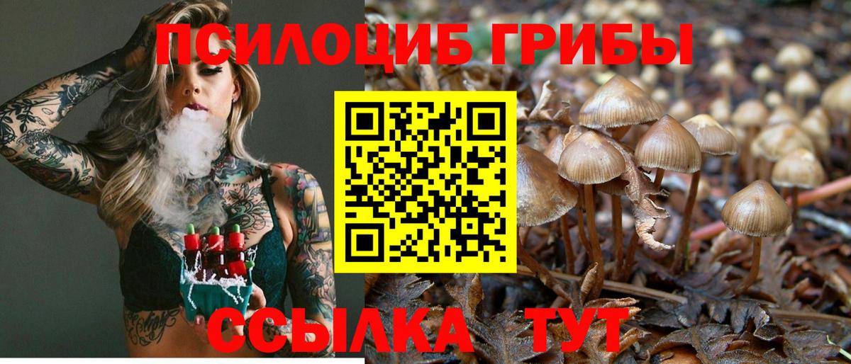 Псилоцибиновые грибы Cubensis Воронеж