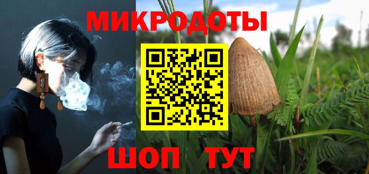 Воронеж  Галлюциногенные грибы Psilocybine cubensis  Вход с VPN 